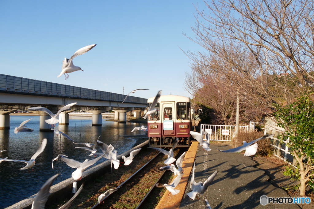 天浜線　佐久米駅　ゆりかもめ