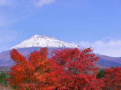 紅葉と富士山