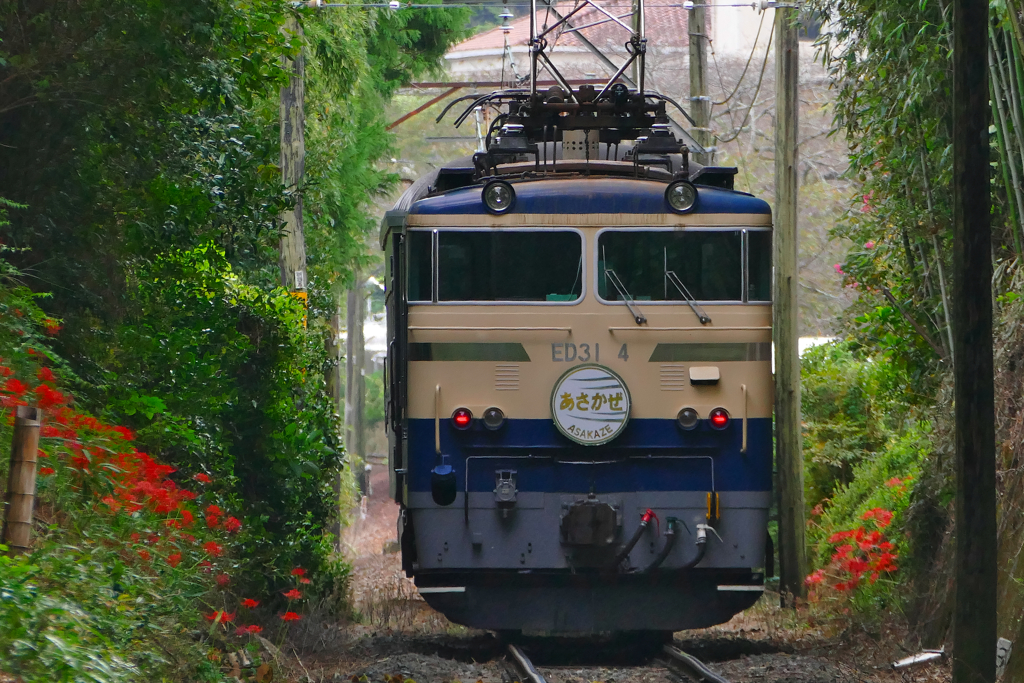 秋の大井川鉄道