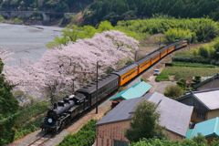 2025大井川鉄道の春