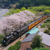 2025大井川鉄道の春
