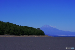 三保の富士山