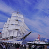 清水港　飛鳥Ⅱ　日本丸