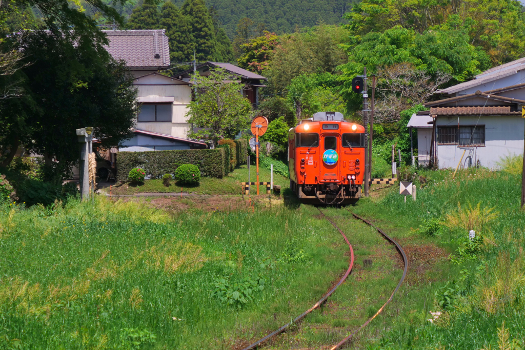 キハ40形観光急行列車