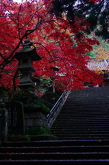 最乗寺　紅葉