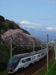 スカイライナーと富士山　　と桜