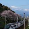 スカイライナーと富士山　　と桜