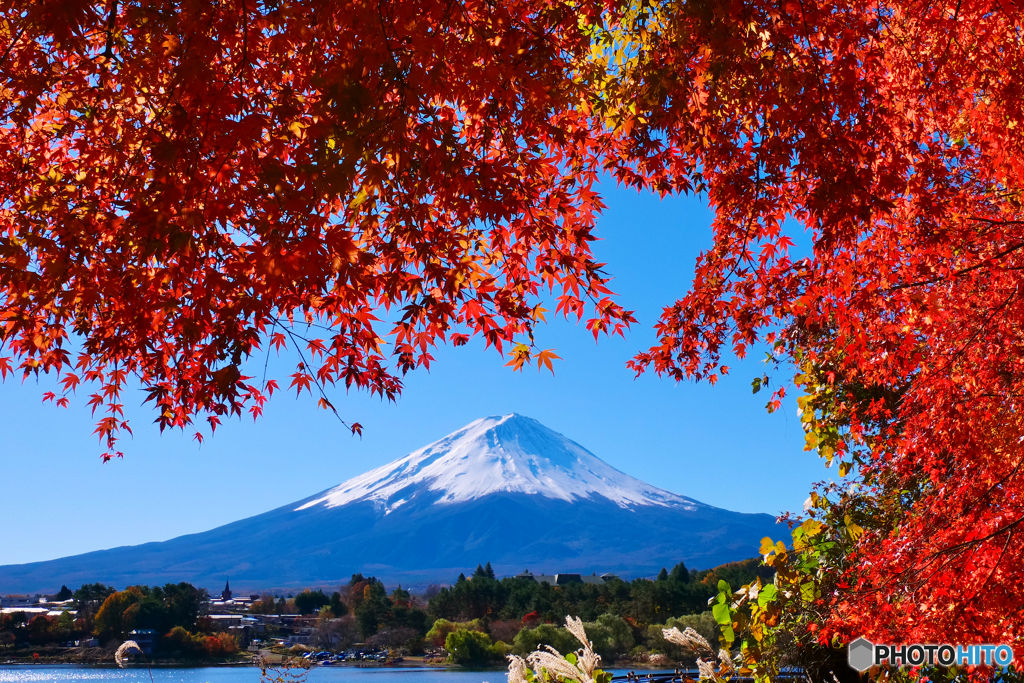 河口湖の紅葉