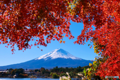 河口湖の紅葉