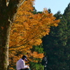 三井住友VISA太平洋マスターズ  裏方さん