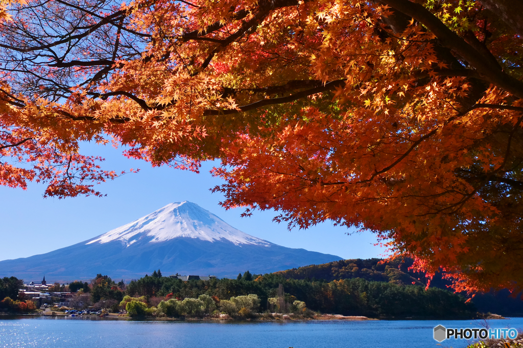 河口湖の紅葉