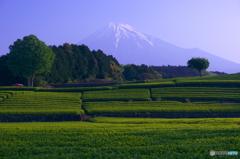 八十八夜の富士山