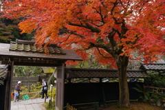 秋の東慶寺