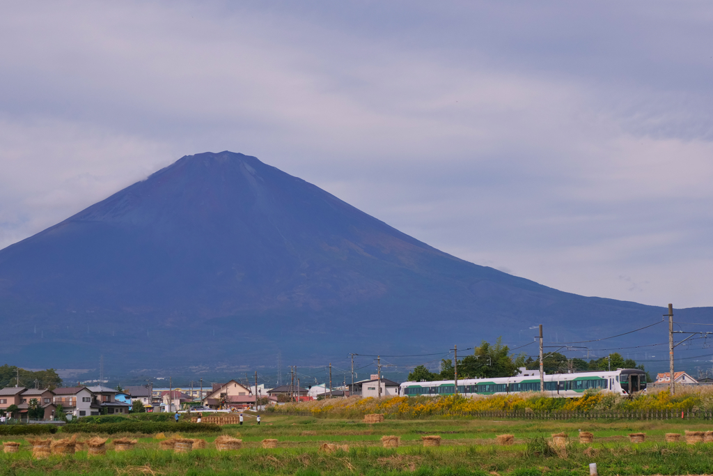特急Fuji御殿場