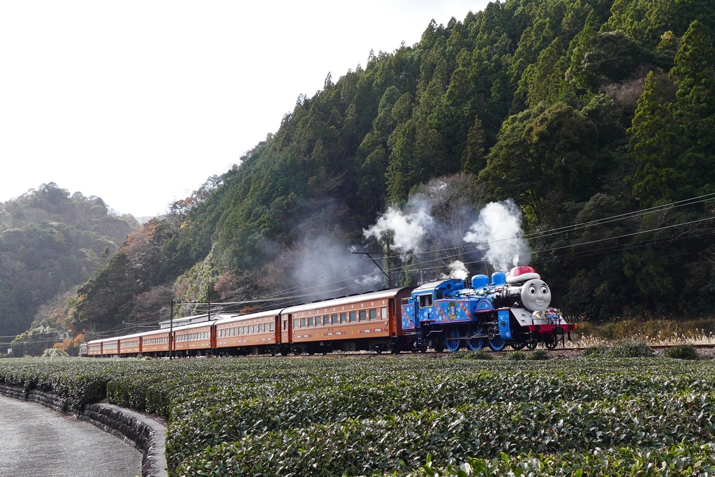 大井川鉄道　　きかんしゃトーマス