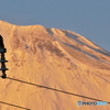 富士山と