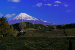 笹場の富士山