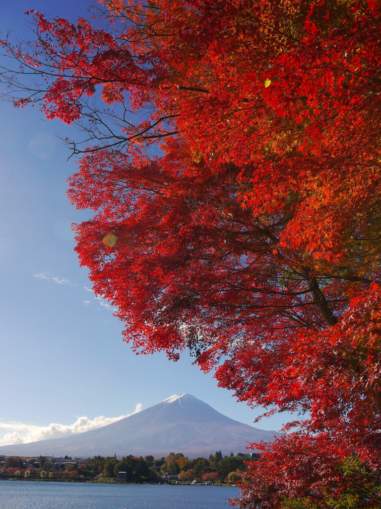 紅葉＠河口湖