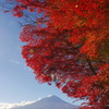 紅葉＠河口湖