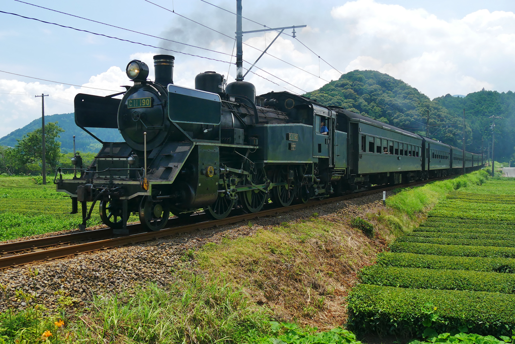 大井川鉄道　門デフC11-190