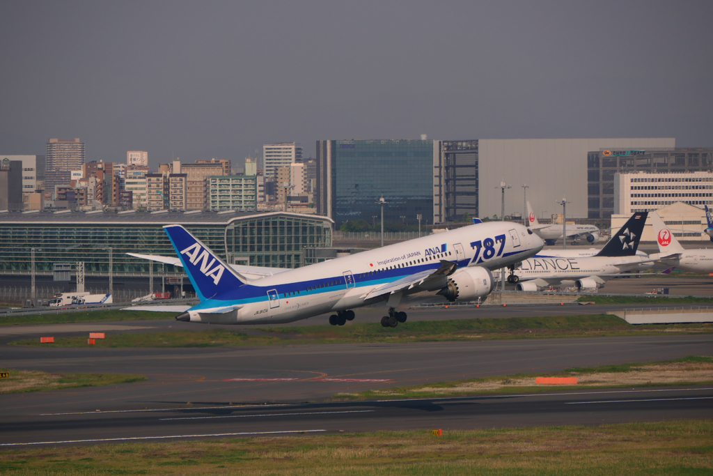 B787ハミングバード