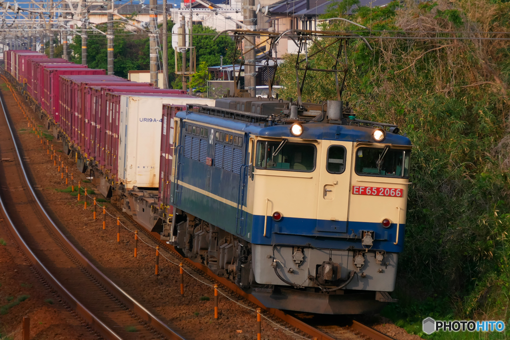 サザンオールスターズ 東京 victory