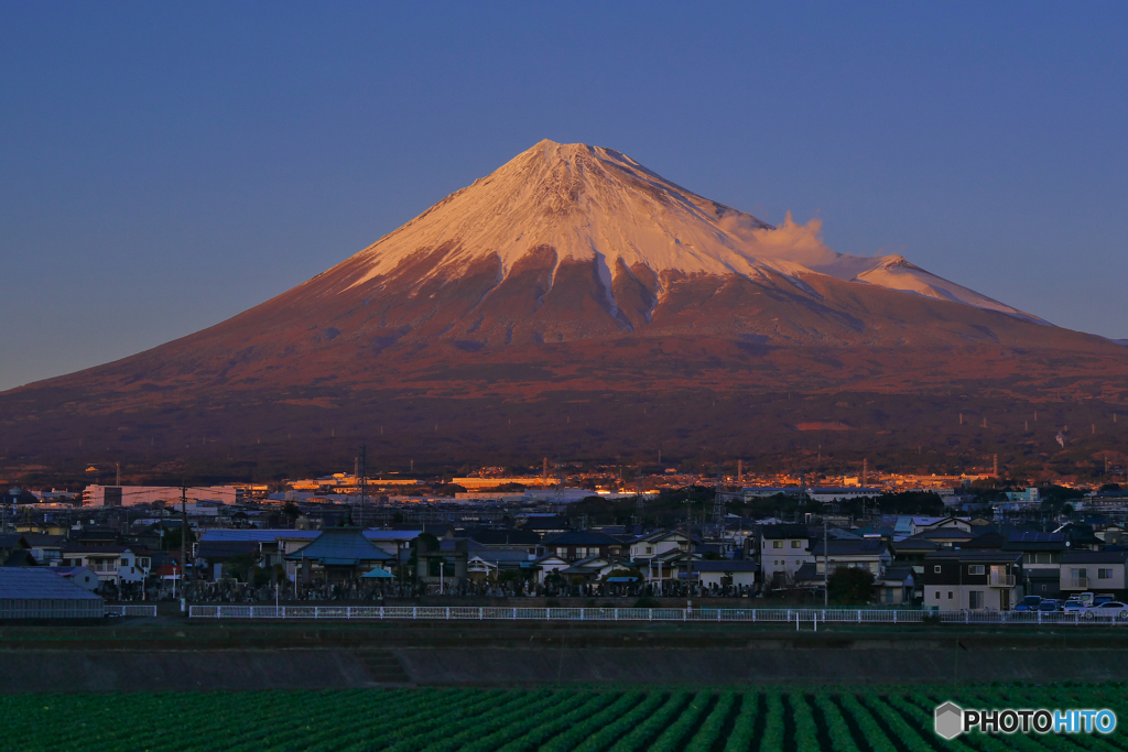 紅　　富士