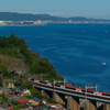 259系　＠石橋