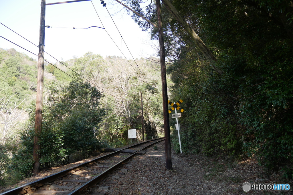 大井川鉄道　4種踏切