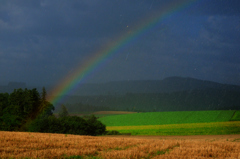 虹と大豆畑