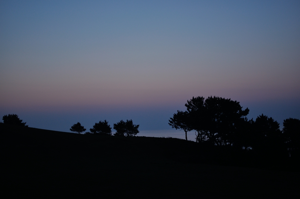 種差海岸の夜明け