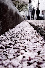 のびる道