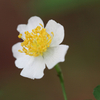 sIMG_8357