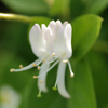 sIMG_8407