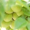 sIMG_8444
