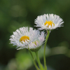 sIMG_8432