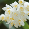 sIMG_8425
