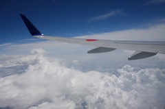 DSC0-800