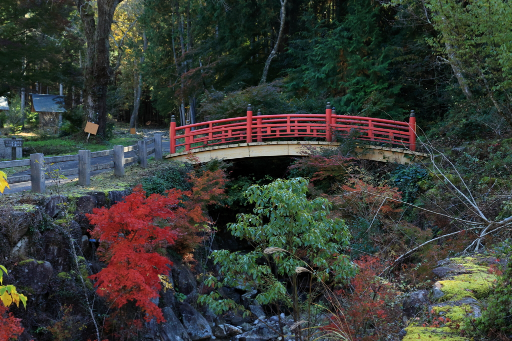 御調八幡宮 (4) 211107-359