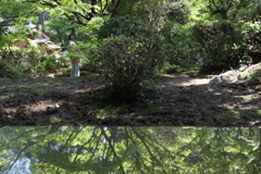 佛通寺 250426-519.JPG 250426-----