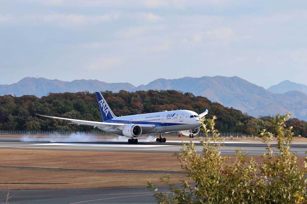 ANA Landing(2) 191119-763
