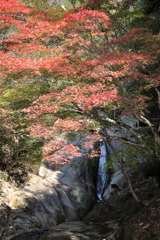 紅葉 in 三郎の滝(4) 181109-063