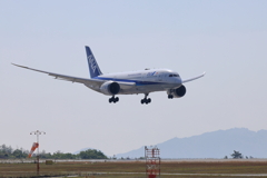 ANA (2) 250513-708