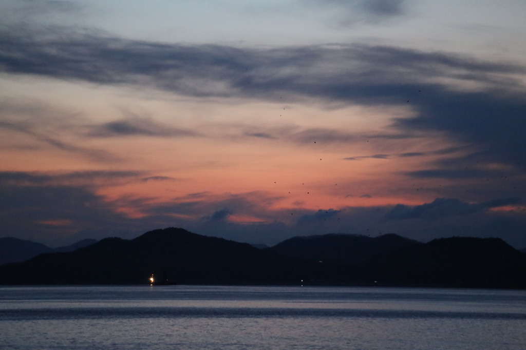 夜明け　15.02.19