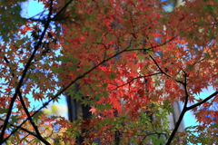 佛通寺(2) 211029-237