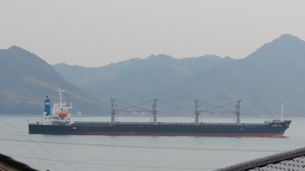 また、来たよ！