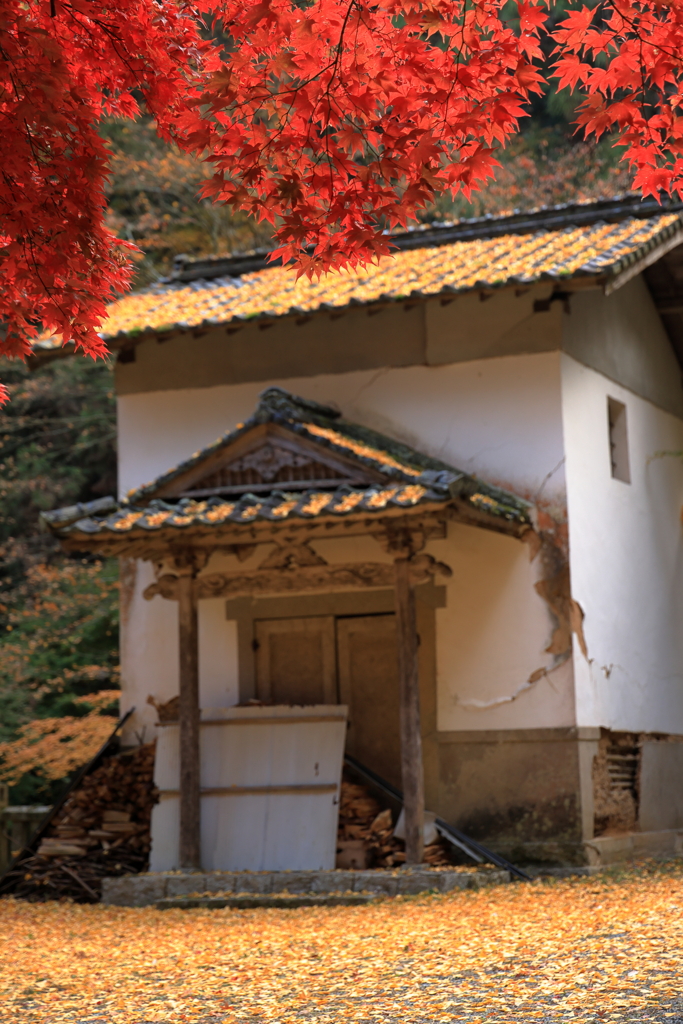 今高野山龍華寺 (4) 251121-221