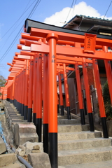 連立鳥居(4) 220113-0361