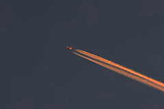 早朝の飛行機雲 231013-1079