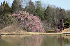 仙石庭園(3) 200321-840 
